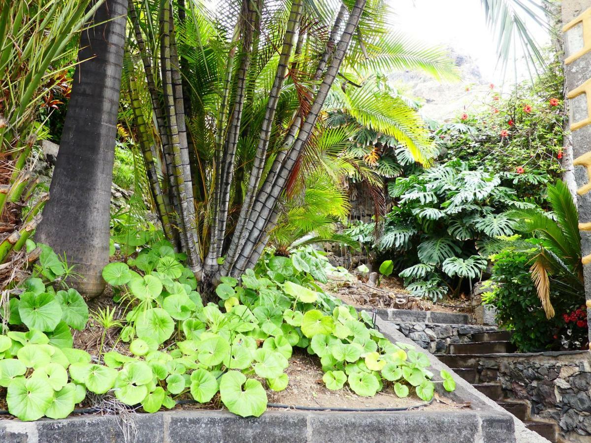 Finca Dona Juana Los Realejos Luaran gambar